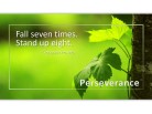 13 - Perseverance PPT PowerPoint Motivational Quote Slide