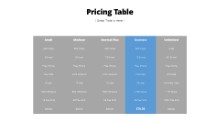 Pricing Table 07
