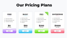 Pricing Table 13
