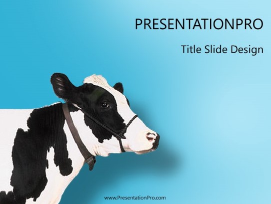 Cow PowerPoint Template title slide design