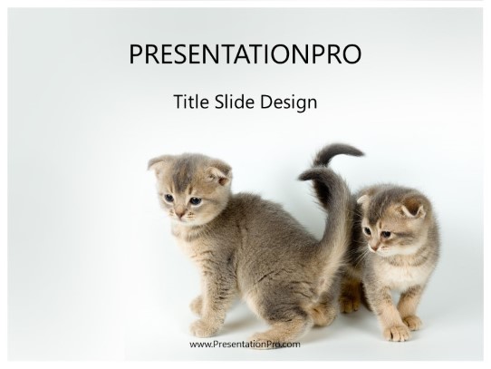 Kitty Kitty PowerPoint Template title slide design