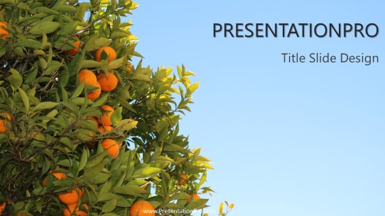 Orange Tree 01 Widescreen PowerPoint Template title slide design