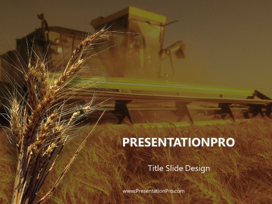 Wheat PowerPoint Template title slide design