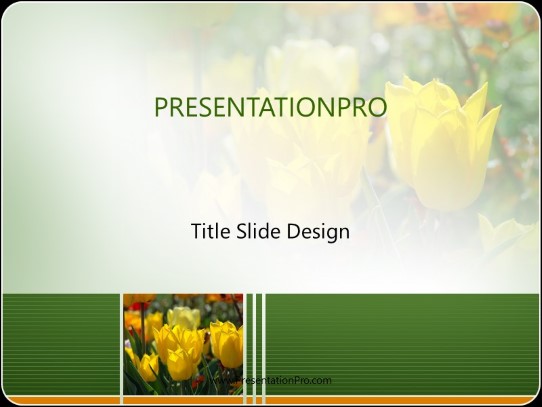 Sunny Yellow Tulips PowerPoint Template title slide design
