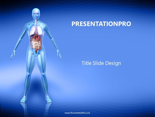 Female Anatomy PowerPoint Template title slide design