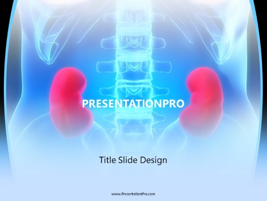 Kidneys PowerPoint Template title slide design