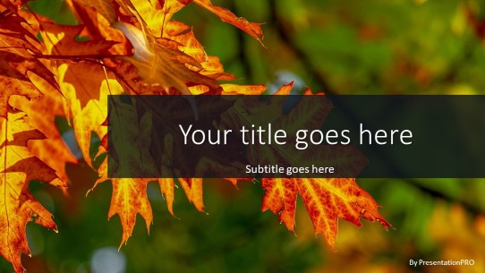 Autumn Orange Leaves Widescreen PowerPoint Template title slide design