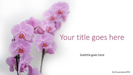 Orchid Flowers Widescreen PowerPoint Template title slide design
