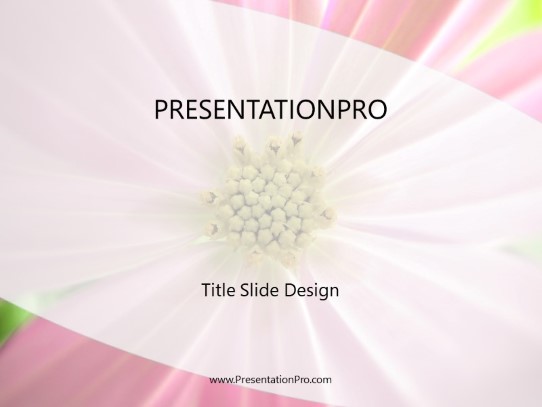 Spring Time Flowers White PowerPoint Template title slide design