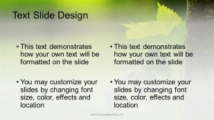 The Ivy Widescreen PowerPoint Template text slide design