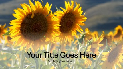 Animated Sun Flowers Widescreen PowerPoint Template text slide design
