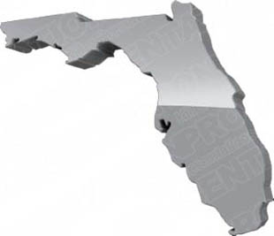 Download map florida gray PowerPoint Graphic and other software plugins for Microsoft PowerPoint