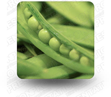 Peas 01 Square PPT PowerPoint Image Picture