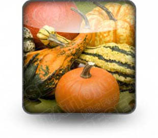 Download pumpkin_patch_b PowerPoint Icon and other software plugins for Microsoft PowerPoint