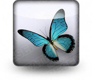 Download butterfly 02 b PowerPoint Icon and other software plugins for Microsoft PowerPoint