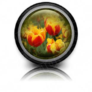 Download tulips02 c PowerPoint Icon and other software plugins for Microsoft PowerPoint