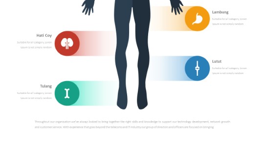 058 Body Anatomy PowerPoint Infographic pptx design
