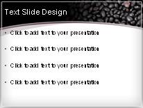 Black Beans PowerPoint Template text slide design