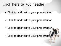 Cow 2 PowerPoint Template text slide design