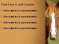 Horse PowerPoint Template text slide design