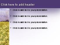 Mustard PowerPoint Template text slide design