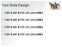 Kitty Kitty PowerPoint Template text slide design