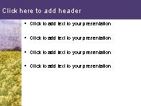 Mustard PowerPoint Template text slide design