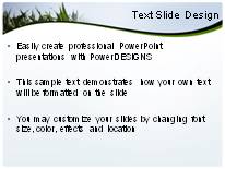 Summer Corn Crop PowerPoint Template text slide design