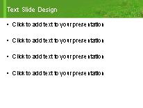 Turkey PowerPoint Template text slide design