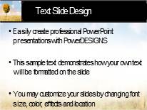 Change Of Seasons C Widescreen PowerPoint Template text slide design