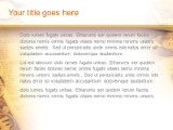 Stock Money PowerPoint Template text slide design