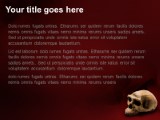 Skull PowerPoint Template text slide design