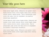 Echinacea PowerPoint Template text slide design