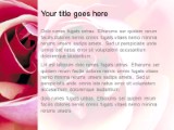 Inside Rose PowerPoint Template text slide design