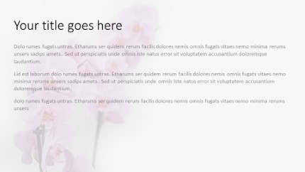 Orchid Flowers Widescreen PowerPoint Template text slide design