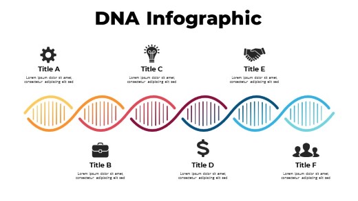 Medical DNA 01 PowerPoint Infographic pptx design