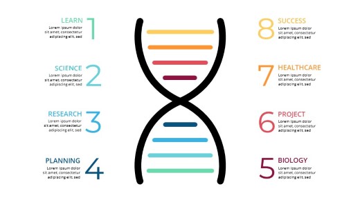 Medical DNA 02 PowerPoint Infographic pptx design